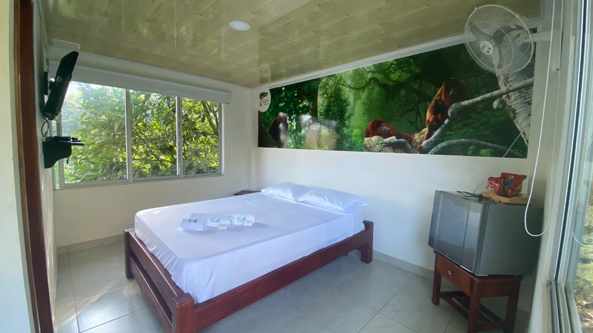 Habitación Mono Aullador con mural de fauna del bosque y cama doble